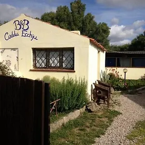  Bed & Breakfast Codduecchju