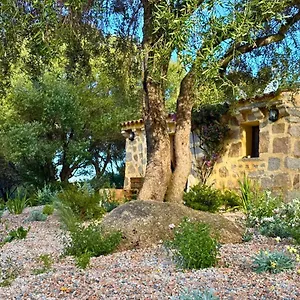 Guest house Lu Pastruccialeddu, Arzachena